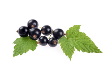 fresh blackcurrant berries with leaves over white background
