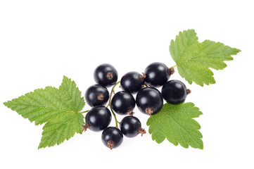 Sweet shiny black currant berries with leaves . Closeup , isolated on white