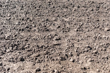Dry agriculture field. Texture of soil. Abstract natural background.