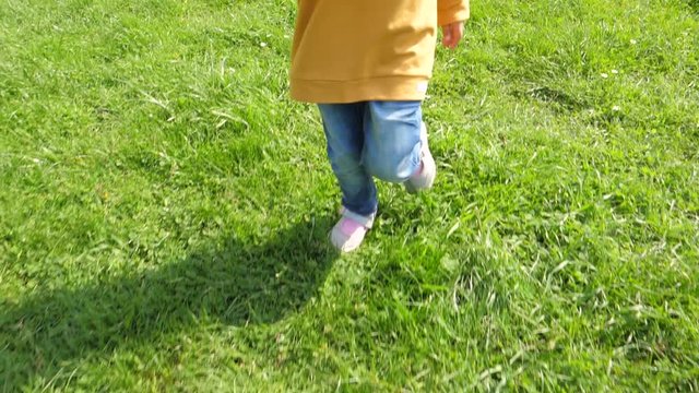 Blue jeans child girl legs run and walk a green grass lawn meadow on nature park