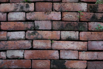 close up details of  old bricks wall 