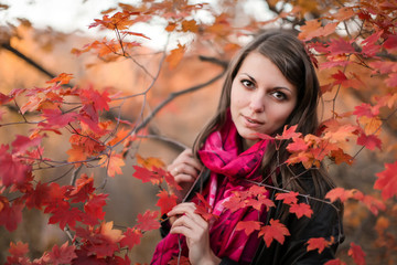 autumn portrait of a girl in maple branches