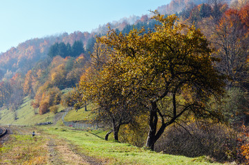 Autumn Carpathian mountains, Ukraine