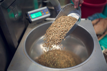 Image of shovel with crumbling coffee beans, industrial scales