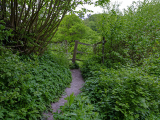 View of ancient stile on a footpath in the Lythes near St Mary's Church in Selborne, Hampshire, UK