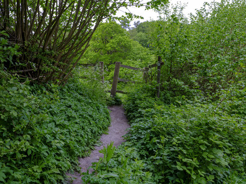 View of ancient stile on a footpath in the Lythes near St Mary's Church in Selborne, Hampshire, UK