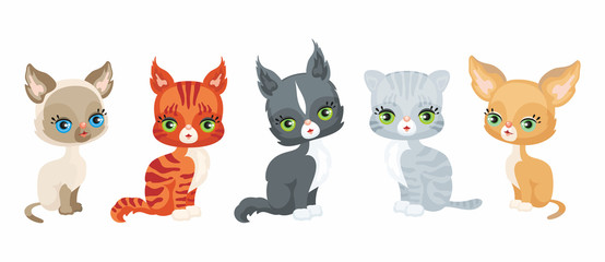 Obraz premium Vector image of a cute purebred kittens in cartoon style. Colorful illustrations isolated on a white background. Set.
