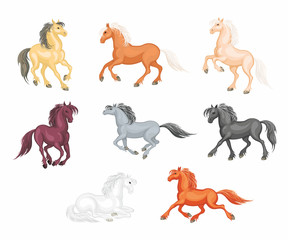 Obraz premium The realistic images of a beautiful horses on a white background. Vector illustration set.