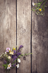Fototapeta premium Wild flowers on old grunge wooden background (chamomile lupine dandelions thyme mint bells rape)