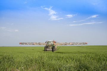 Naklejka premium spraying wheat field