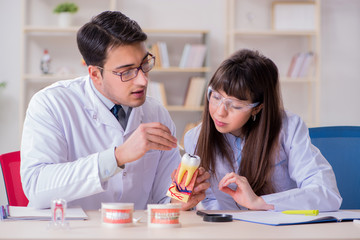 Dentist explaining student tooth structure