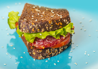 sandwich with salami and vegetables