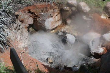 steaming puddle hot springs mud