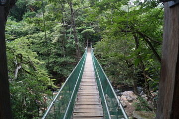 costa rica green bridge