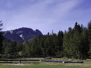 WIDOK NA TATRY  © michalsen