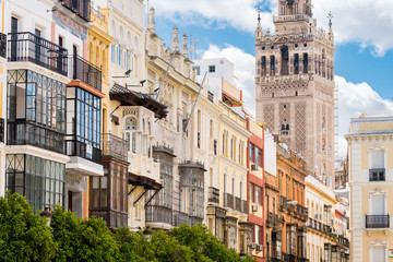 Fototapeta premium Seville old town with giralda bell tower at background, Spain