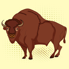 pop art animal artiodactyl, bison, cow. Comic book style imitation