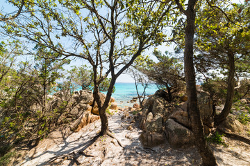 trees by the shore in Capriccioli