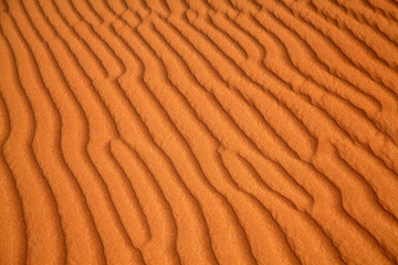 Red sand desert