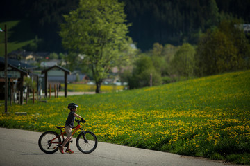 Fototapeta premium VTT