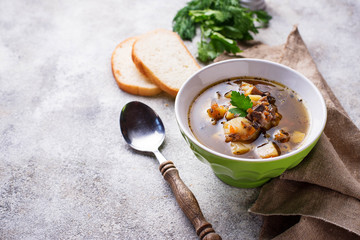 Vegetarian  soup with mushroom and vegetable 