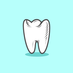 Illustration of the tooth