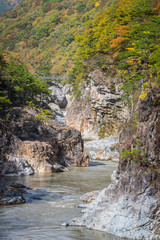 Ryuou Valley , Stream of the Kinugawa River at Nikko in autumn