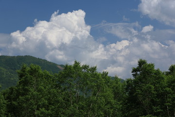 夏の高原