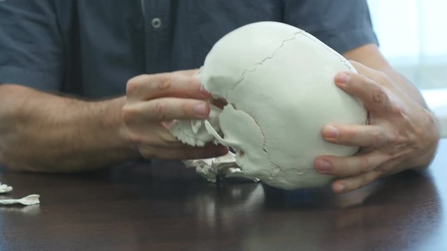 A man examines the human skull restoring the structure of bones