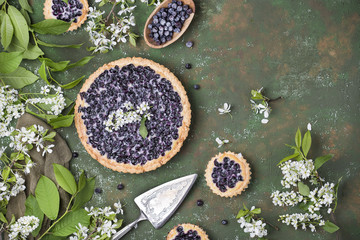 Obraz na płótnie Canvas homemade blueberry tart