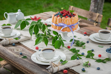 Tasty yoghurt cake with fresh berries and biscuits in summer