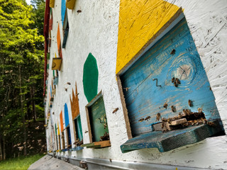 A bee hive truck on a fresh green meadow with trees in the background on a sunny day.