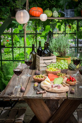 Summer garden table with wine and fruits in the evening