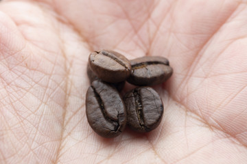 Coffee bean in hand