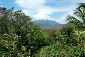 Fototapeta na wymiar Ometepe, l'ïle aux deux volcans
