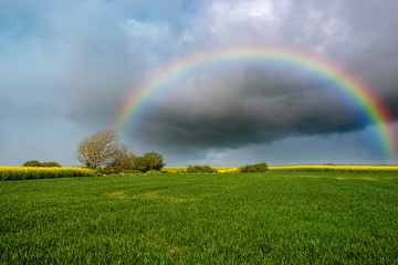 Naklejka premium arrivée du beau temps