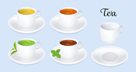 Tea cup with branch of tea leaves and mint leaf.