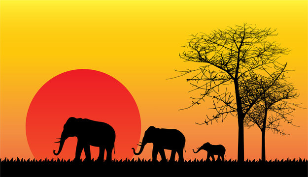 Black silhouette of elephant, wild nature. Vector illustration