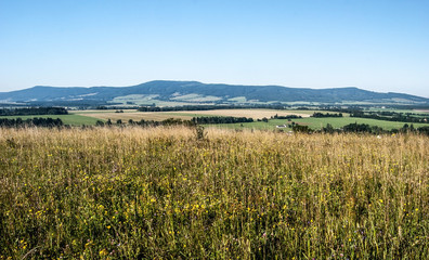 Fototapeta premium landscape with flowering meadow, fields, villages, mountain range and clear sky