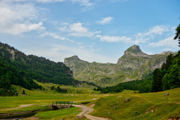 Fototapeta na wymiar Pyrenees mountain landscape in France, Pyrenees Atlantiques