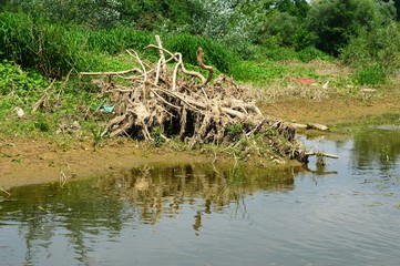 river
