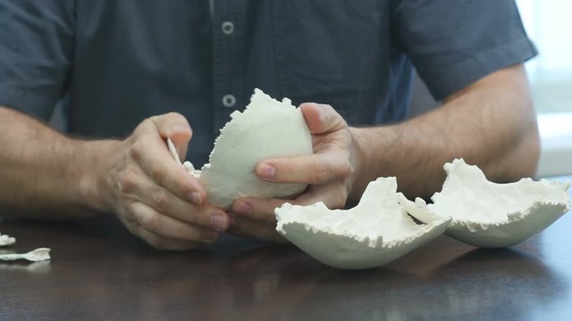 The doctor collects parts of the human skull on the desktop