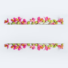 Creative floral design frame, border or banner layout with pink and green exotic flowers on white  background, top view