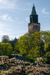 Fototapeta na wymiar Turku Cathedral at spring with cherry blossoms and green trees in Turku, Finland