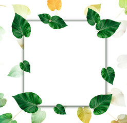 Creative layout made of leaves with paper card note.Nature concept