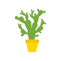 Cactus on the pot illustration