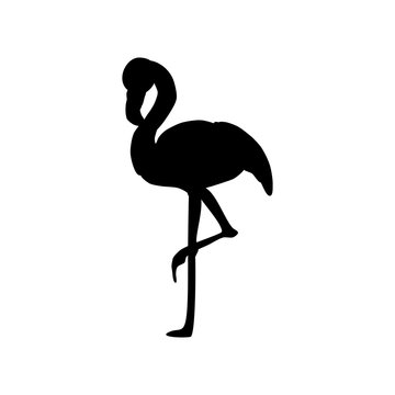Flamingo bird illustration silhouette