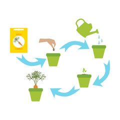 Plant growing illustration