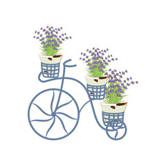 Fototapeta na wymiar Vintage bycicle with lavender