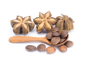 Plukenetia volubilis or sacha inchi peanut seed in wooden spoon isolated on white background